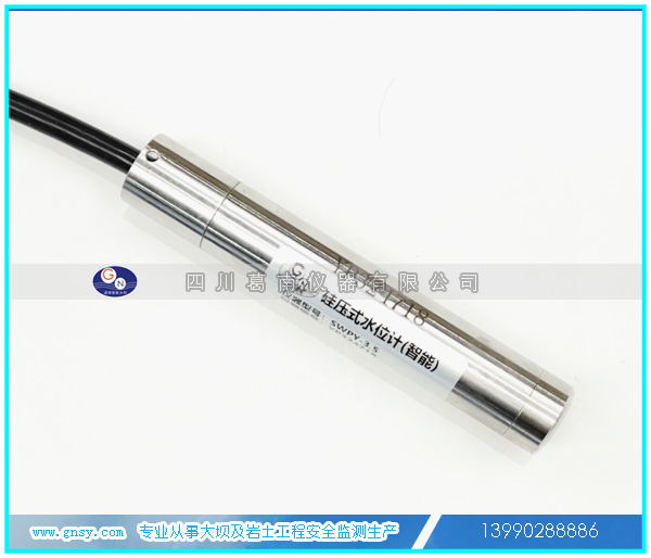 投入式水位計(jì)